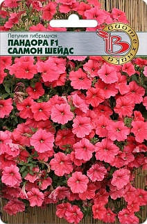 Петуния гибридная Папндора F1 Салмон Шейдс, 5 шт. Биотехника