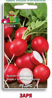 Редис Заря, 3 г Поиск