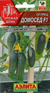 Огурец Домосед F1, 7 шт.