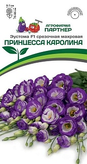 Эустома F1 срезочная  Принцесса Каролина, 5 шт. в амп. Агрофирма Партнер.