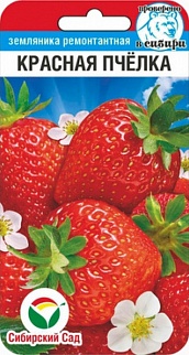 Земляника Красная пчелка, 10 шт. Сибирский сад