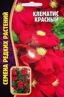 Клематис Красный, 3 шт.