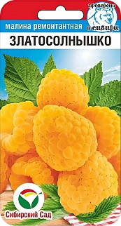 Малина Златосолнышко, 10 шт.