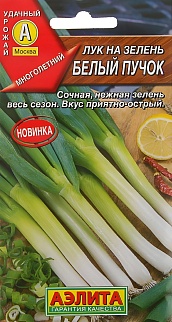 Лук на зелень Белый пучок, 0,5 г