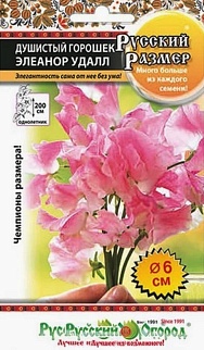 Горошек Душистый Элеанор Удалл, 7 шт. Русский размер. Русский огород