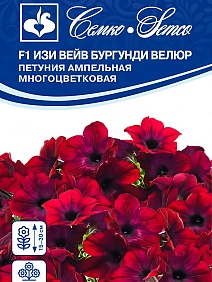 Петуния Изи Вейв Бургунди Велюр F1, ампельная, 4 шт.