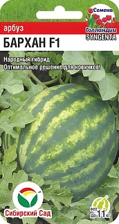 Арбуз Бархан F1, 4 шт. Семена Голландии. Сибирский сад.