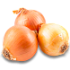 Лук репчатый