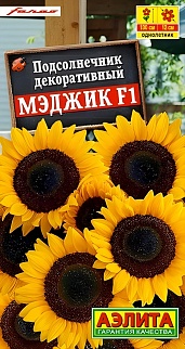 Подсолнечник декоративный Мэджик F1, 5 шт.