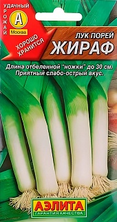 Лук порей Жираф, 0,5 г