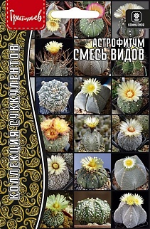 Астрофитум смесь видов 5 шт. Коллекция сукколентов.