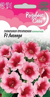 Глоксиния Легенда F1, 5 шт. Розовые сны.