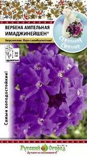 Вербена ампельная Имаджинейшен, 100 шт. Русский огород