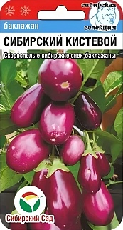 Баклажан Сибирский кистевой, 20 шт. Сибирский сад.