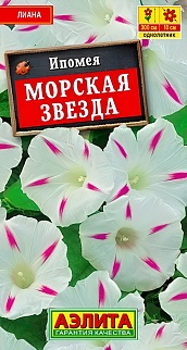 Ипомея Морская звезда, 0,5 г