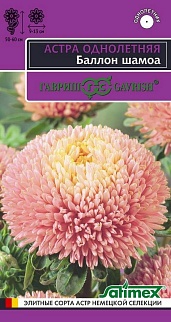 Астра густомахровая Баллон шамоа, однолетняя, 0,05 г. Эксклюзив