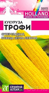 Кукуруза Трофи, 2 г. Голландские Семена.