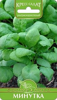 Кресс-салат Минутка, 1 г, Биотехника.