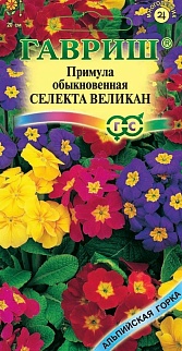 Примула Селекта Великан смесь, 10 шт. Альпийская горка.