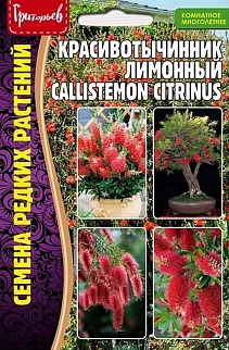 Красивотычинник Лимонный, 0,1 г