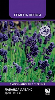 Лаванда Лаванс Дип Парпл, 10 шт. Семена Профи