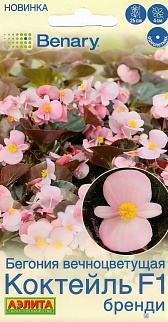Бегония вечноцветущая Коктейль F1 бренди, 7 шт.