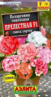 Пеларгония Прелестная F1, смесь сортов, 5 шт.