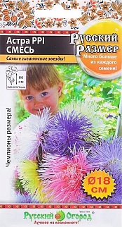 Астра Русский Размер, смесь, 0,3 г Русский огород