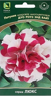 Петуния махровая многоцветковая Дуо роуз энд вайт, 10 шт. Люкс
