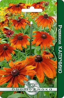 Рудбекия Капучино, 15 шт. Биотехника