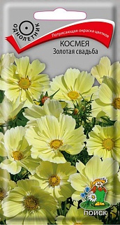 Космея Золотая свадьба, 10 шт.