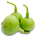 Лагенария