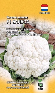 Капуста цветная Балбоа F1, 10 шт. Голландия.