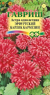 Астра Эрфуртский карлик Кармезин, 0,3 г