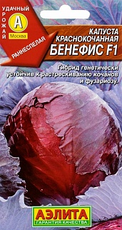 Капуста краснокочанная Бенефис F1, 0,1 г