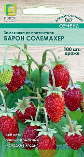 Земляника ремонтантная Барон Салемахер, 100 шт. Драже