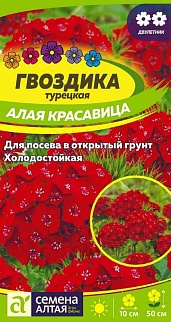 Гвоздика турецкая Алая красавица 0,2 г двулетник
