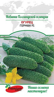 Огурец Герман F1, 5 шт. Голландская селекция
