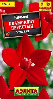 Ипомея Квамоклит, красная, 0,5 г