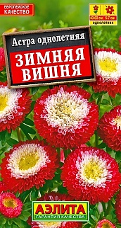 Астра Зимняя вишня, помпонная 0,2 г