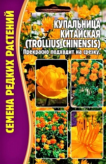 Купальница китайская (Trollius chinensis), 20 шт.