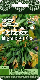 Огурец Сибирская Гирлянда F1, 5 шт.