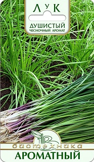 Лук душистый Ароматный, 0,3 г Биотехника