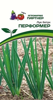 Лук батун Перформер, 1 г