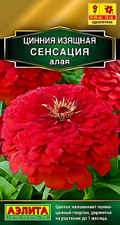 Цинния Сенсация алая, 12 шт.