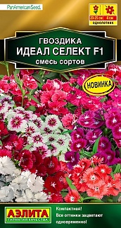 Гвоздика Идеал селект F1, смесь сортов, 7 шт.