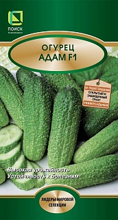 Огурец Адам F1, 10 шт.