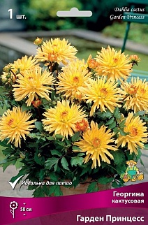 Георгина кактусовая Гарден Принцесс, 1 шт.