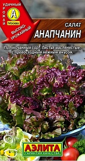 Салат полукочанный Анапчанин, 0,5 г