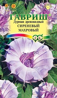 Дурман Сиреневый махровый, 3шт.